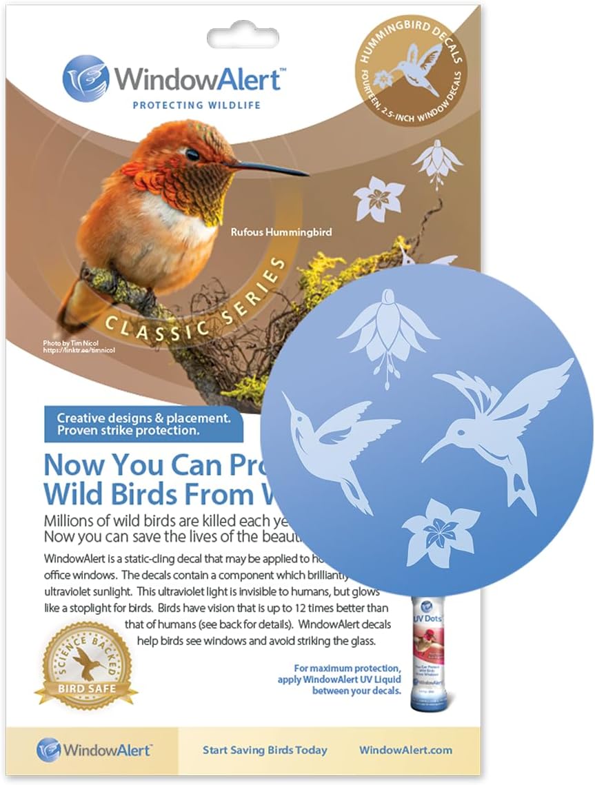 UV window decals on glass near a hummingbird feeder