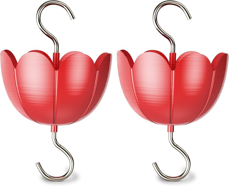 7 Hummingbird Feeder Accessories You Actually Need
