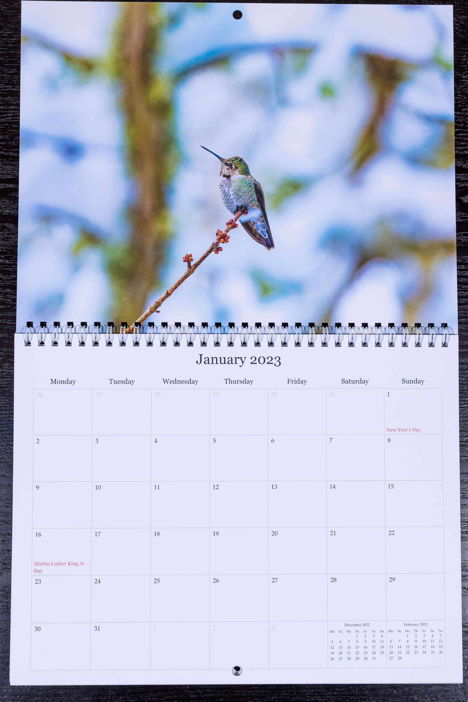 Hummingbird Calendars Backyard Hummingbirds